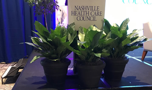 plants for weddings